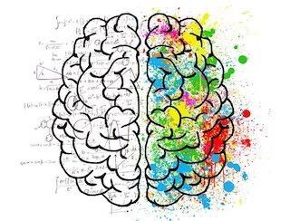 creative versus logical brain