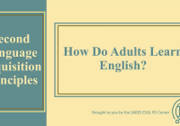 image of title slide: How Do Adults Learn English?