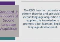 Intro to the MA ESOL Professional Standards: Part 2 - A Closer Look